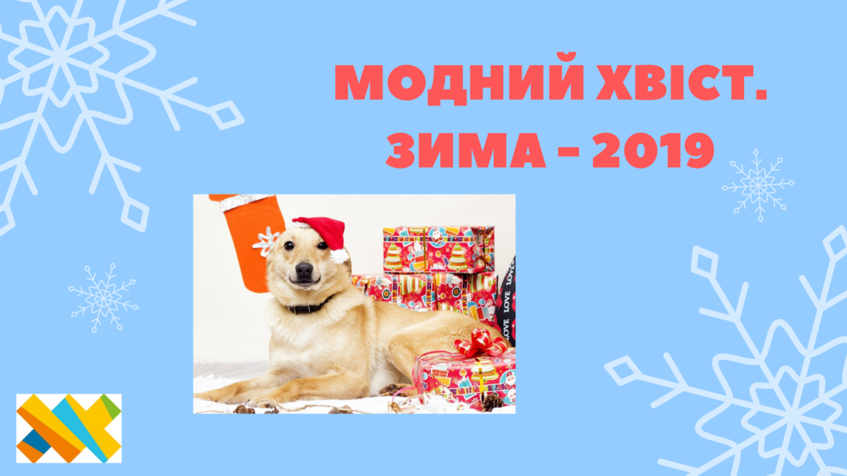 Вперше у Житомирі відбудеться захід “Модний Хвіст. Зима – 2019.”