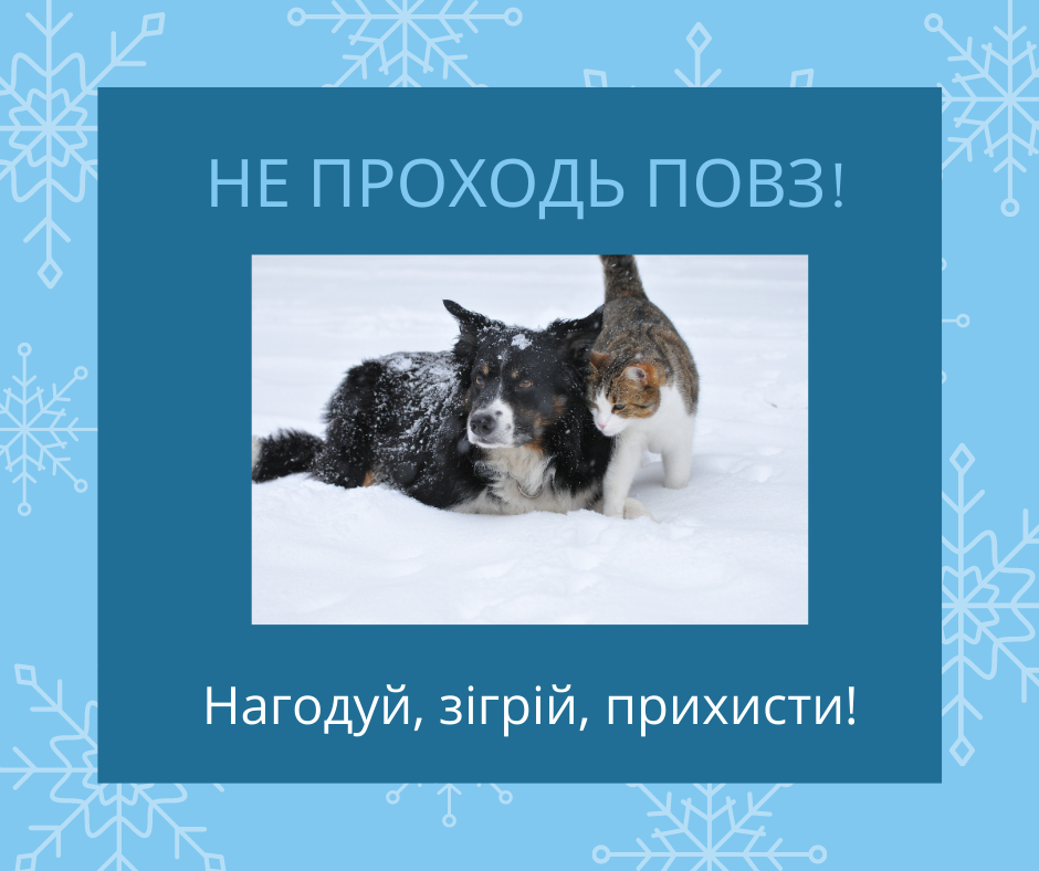 Будьте доброзичливими до чотирилапих друзів!