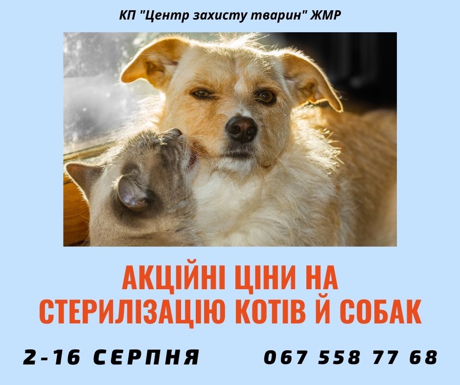 Щоквартальні акційні ціни для власників тварин! Тільки з 2-16 серпня!